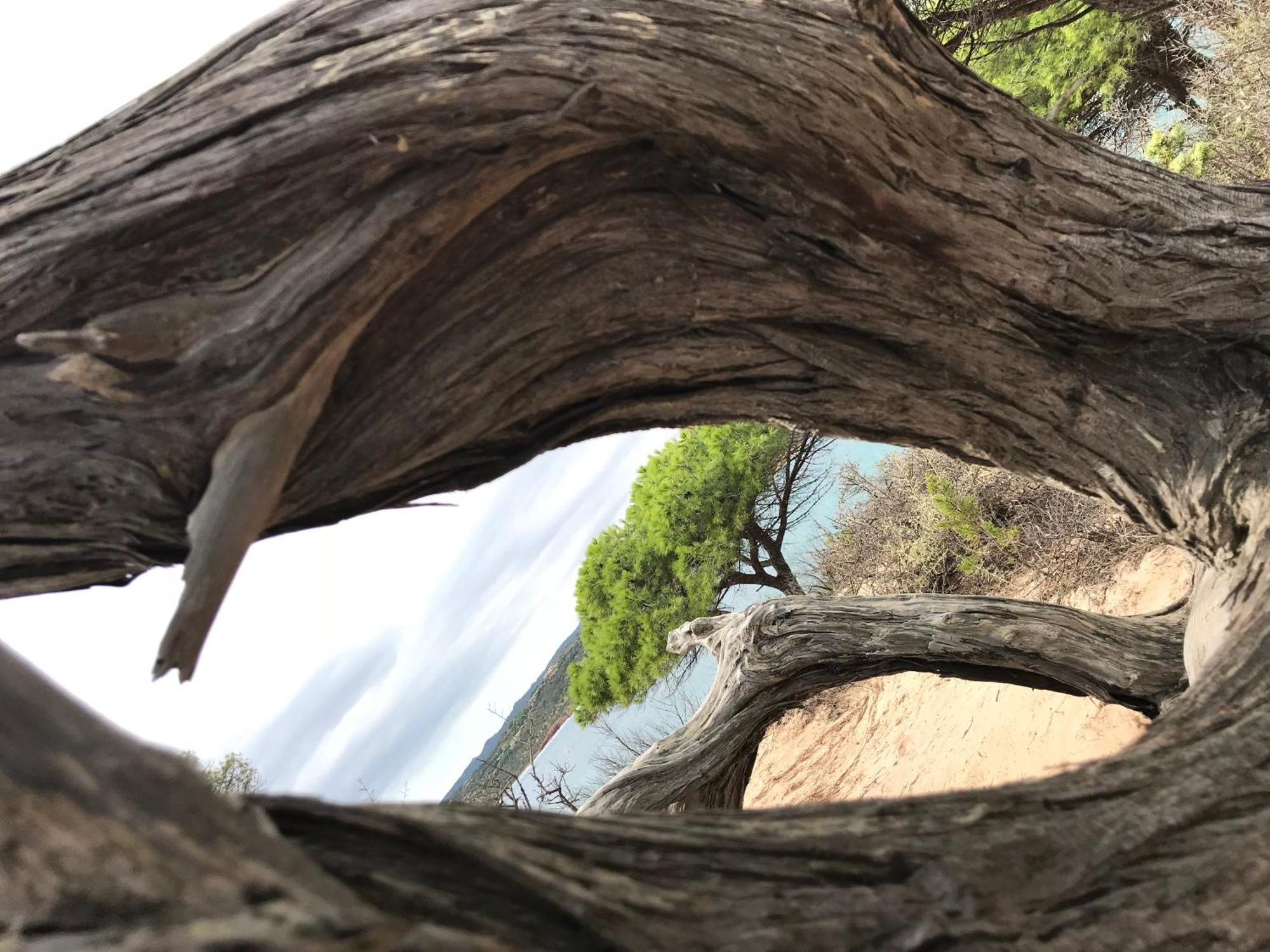 Villa Casa Totti Vue Mer Avec Piscine Porto-Vecchio  Buitenkant foto
